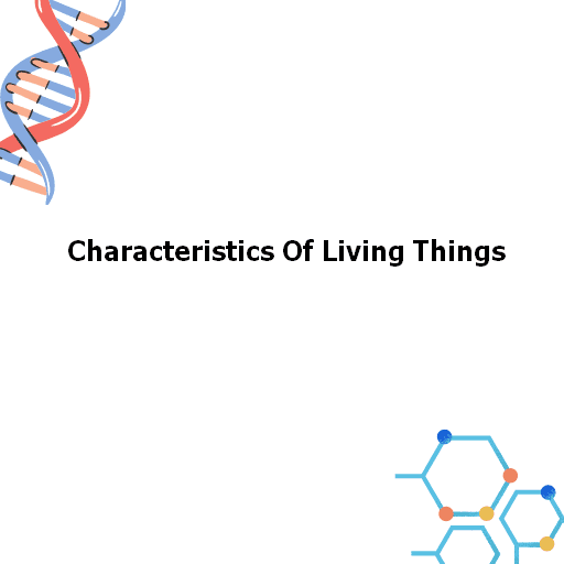 Characteristics Of Living Things